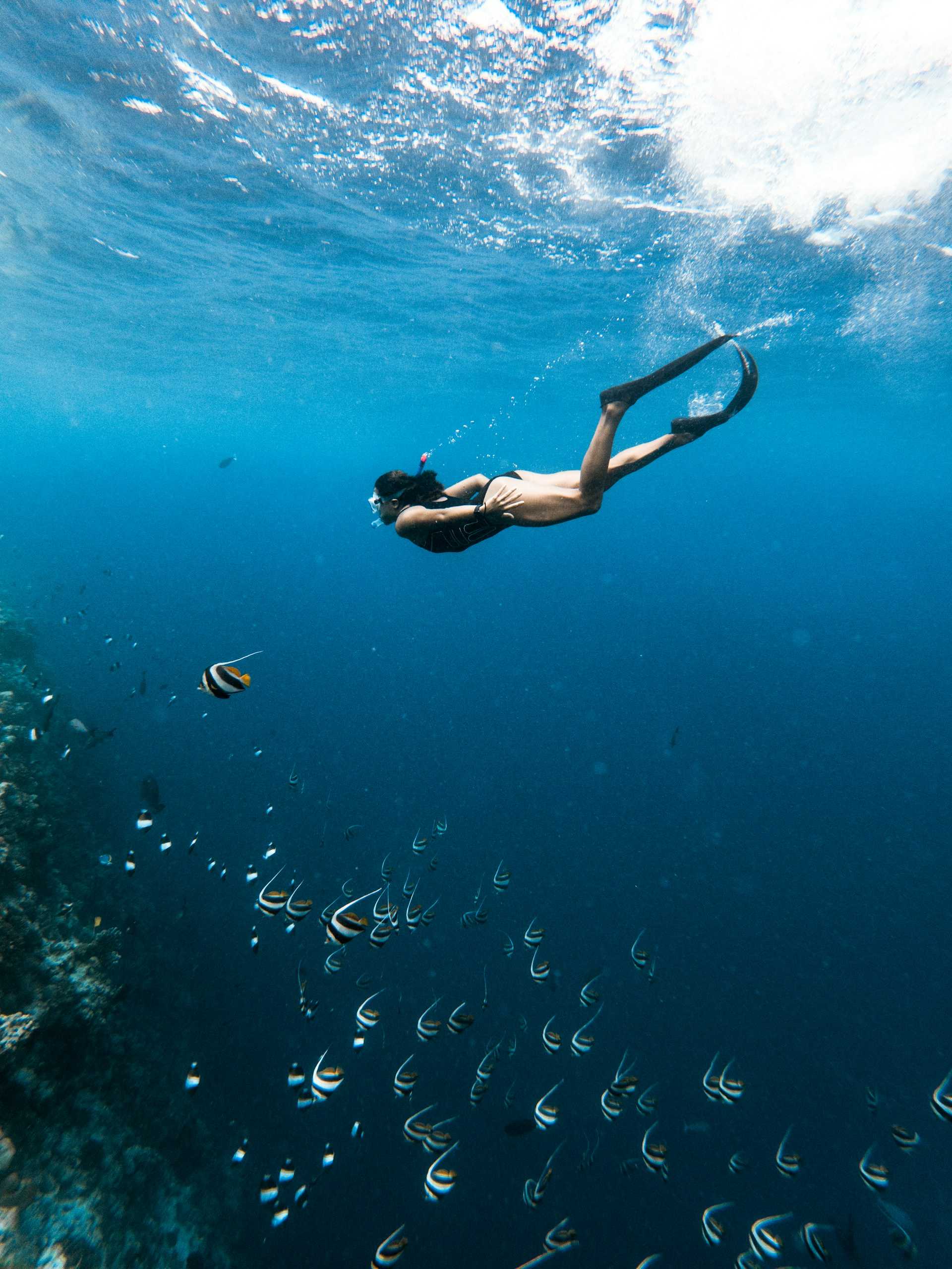Long Night Stay 6+ Night and Get 1 Time Snorkeling